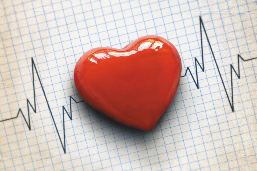 Heart Health - image of heart